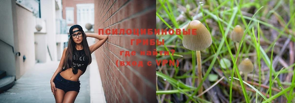 СК Балахна