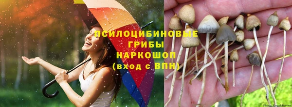 дмт Балабаново
