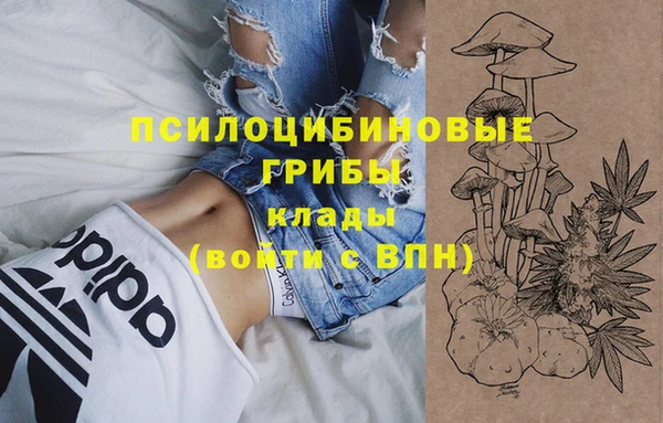 СК Балахна